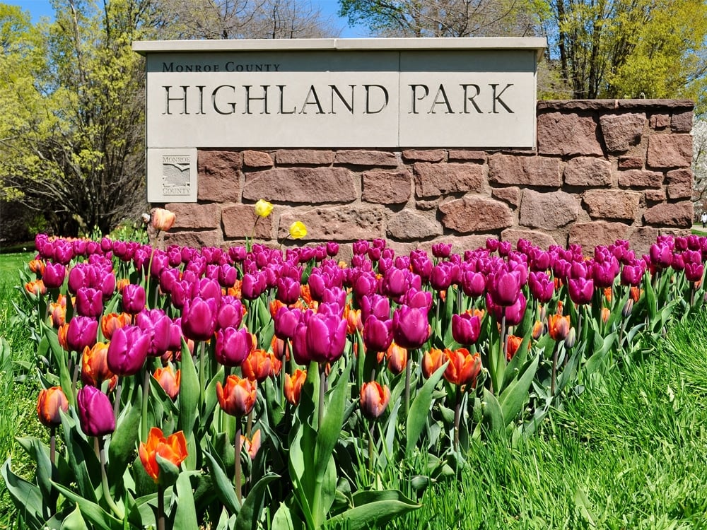 Park 2
