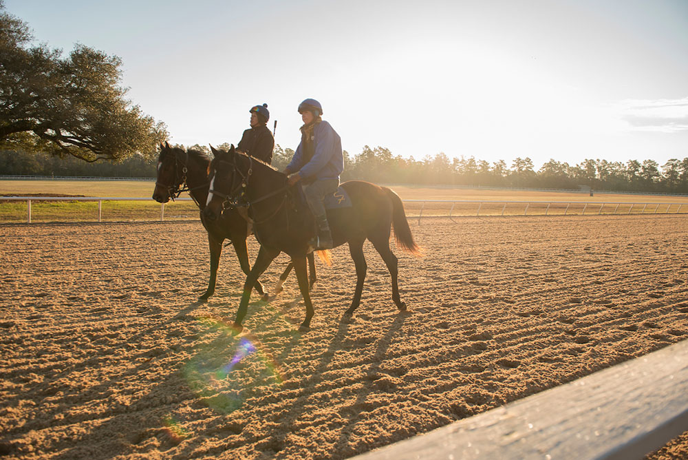 Aiken Training Track2
