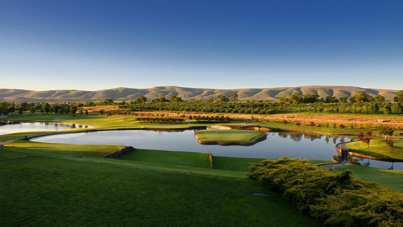 Apple tree golf