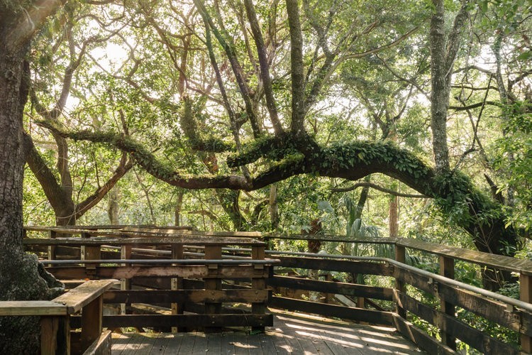 A.D. Barnes Park 3