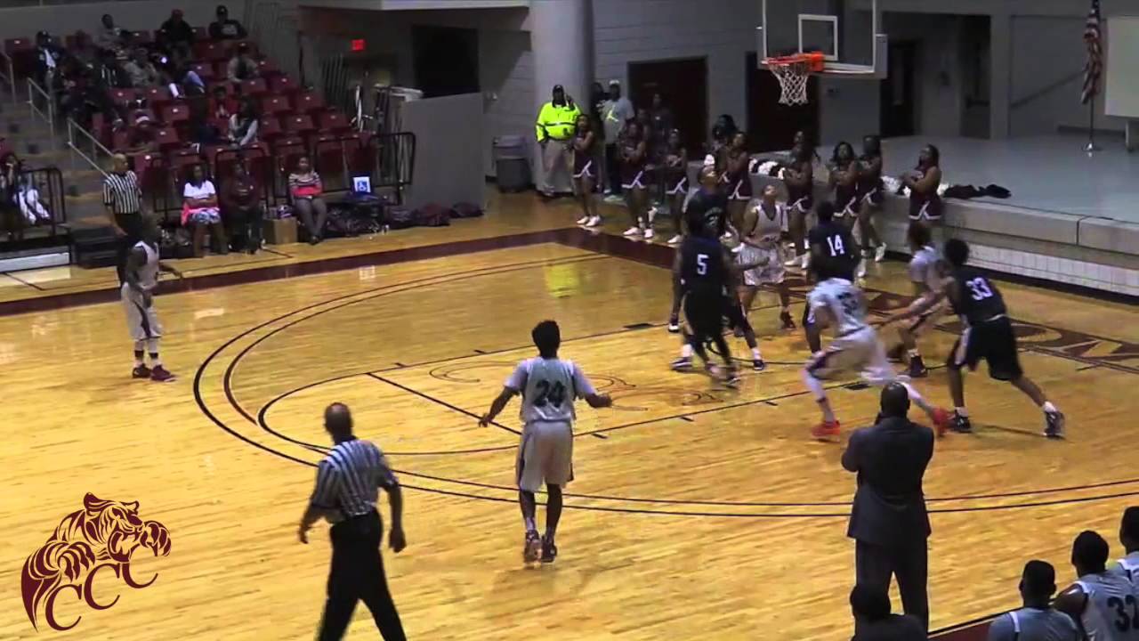 Tiger Arena 4