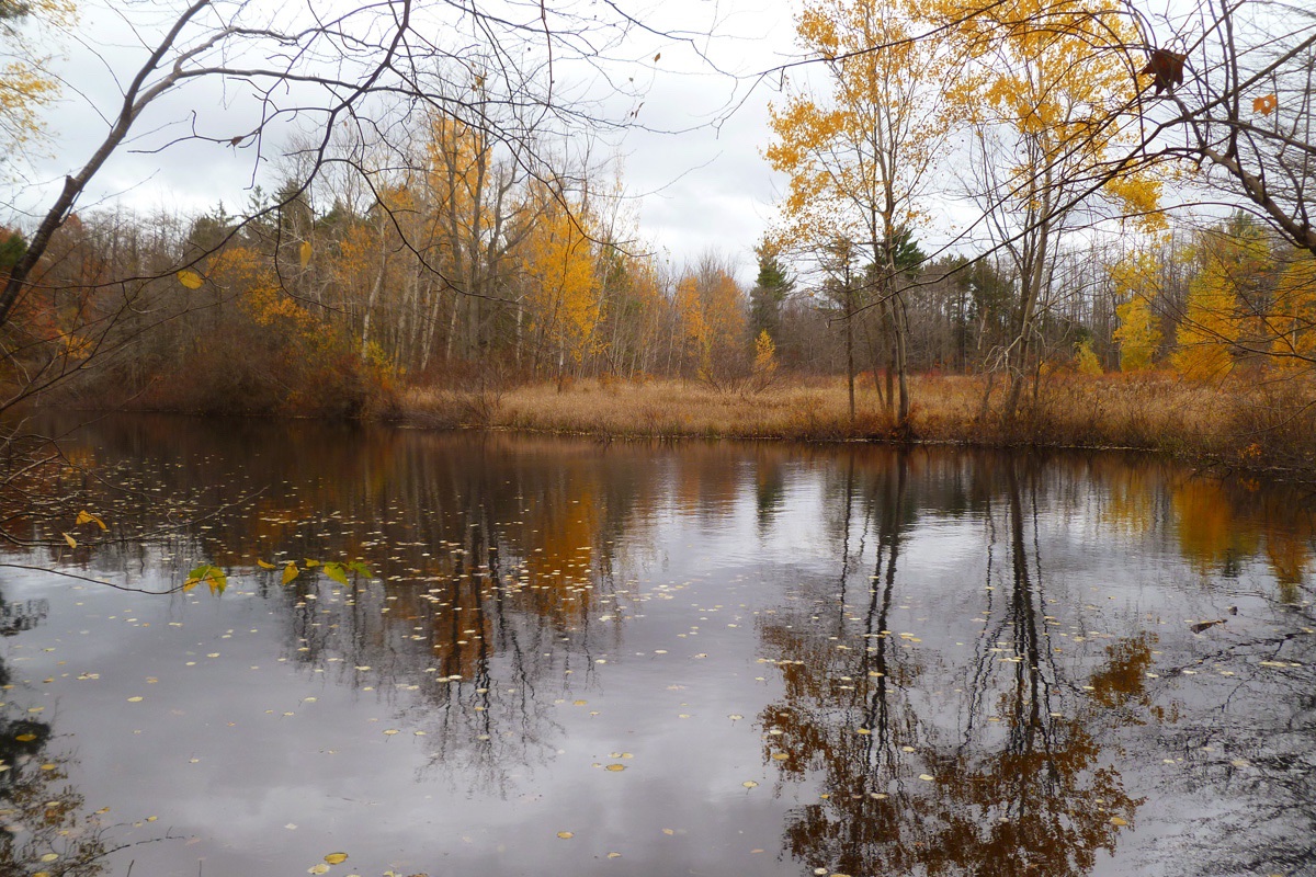 huyser farm park