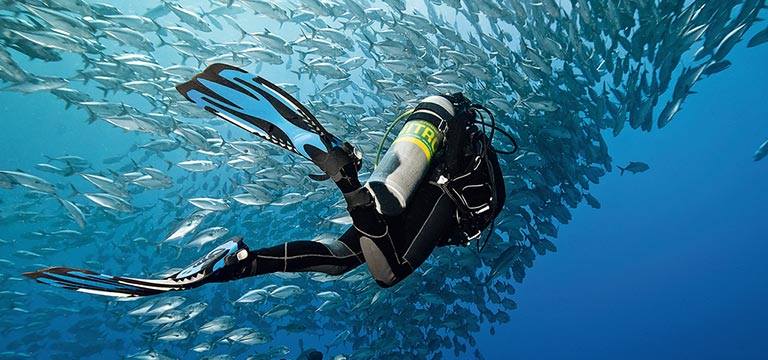 Scuba North 6