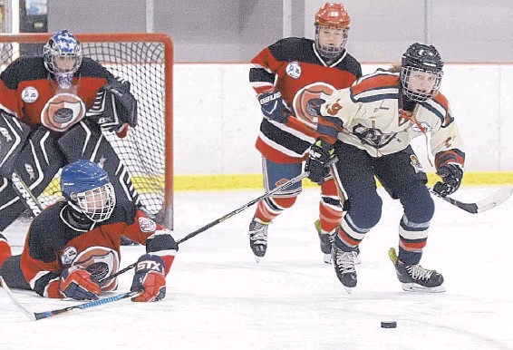 Holiday Twin Rinks 5
