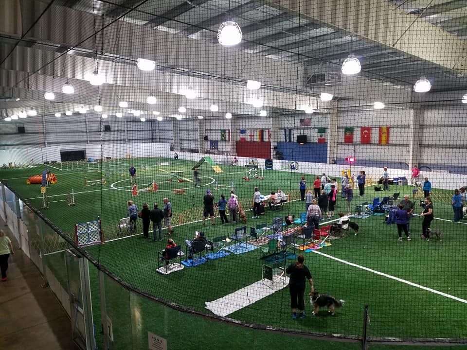 Arena 2