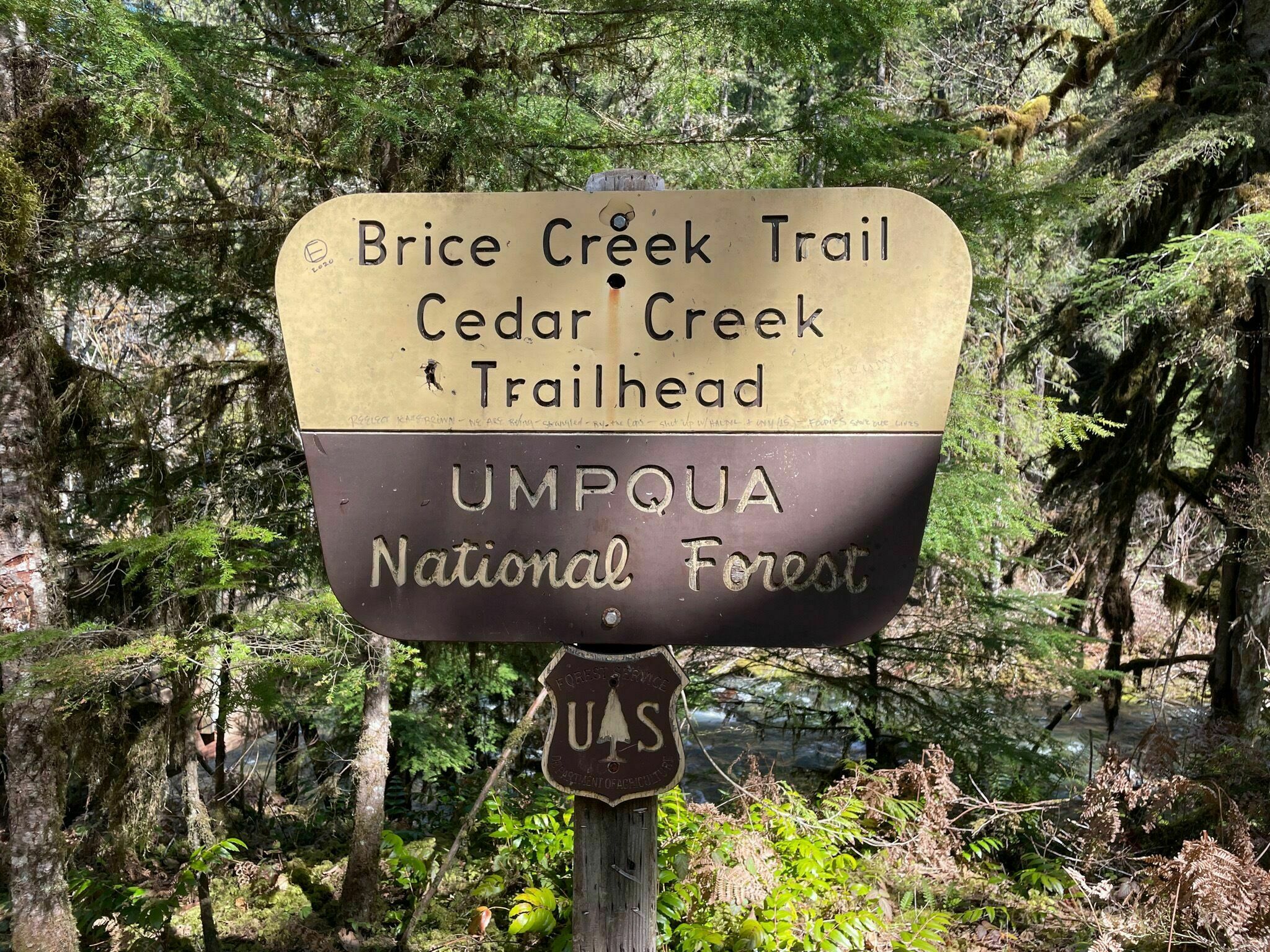 Umpqua National Forest12