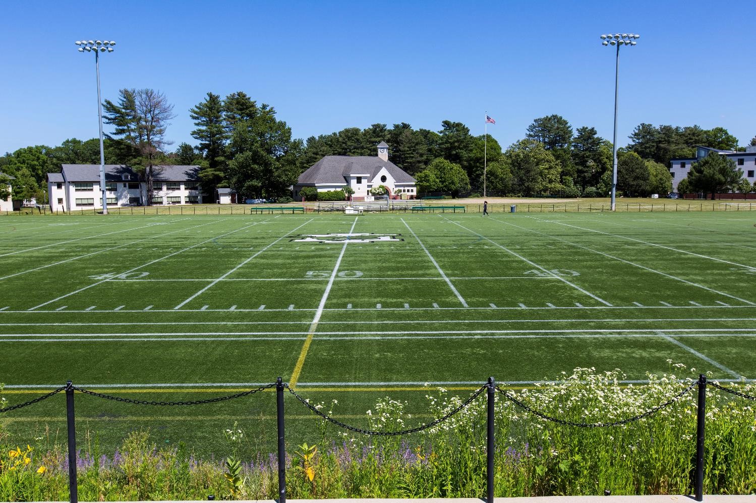 Synthetic Field 50