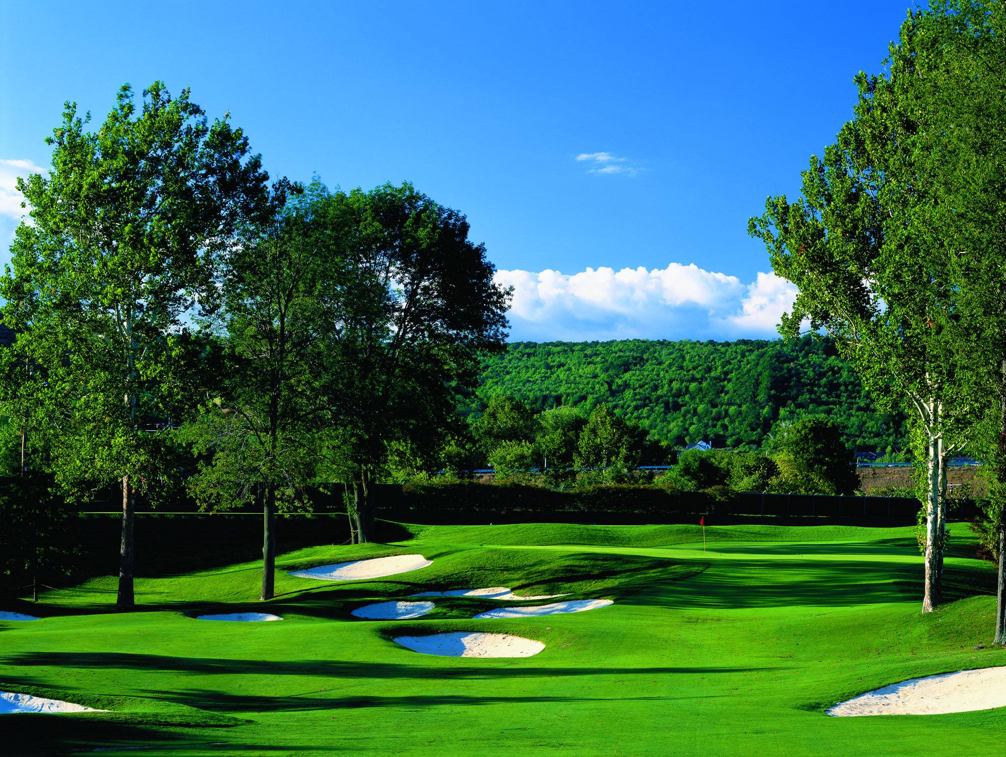 En-Joie Golf Club 5