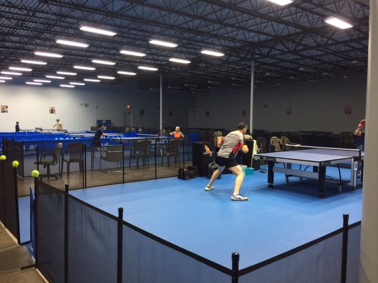 broward table tennis club court