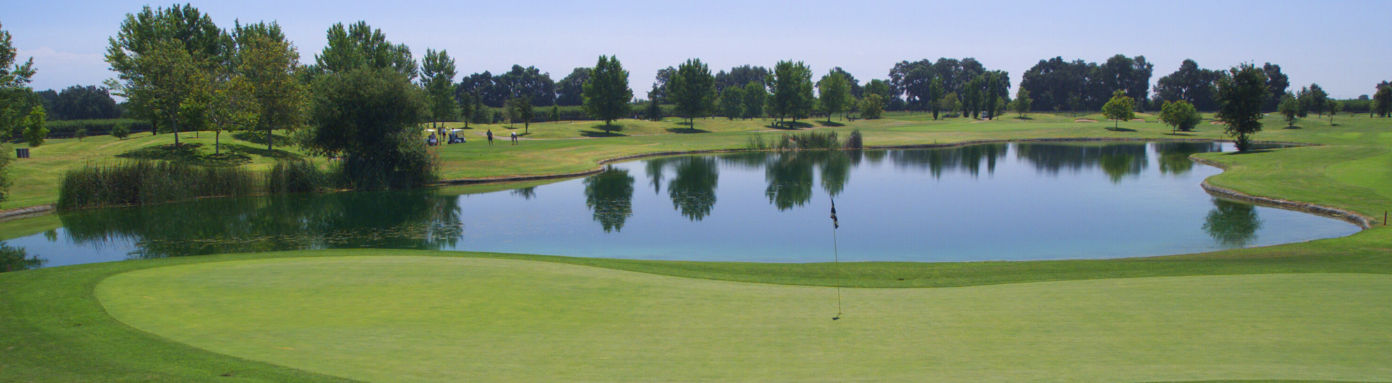 valley oaks