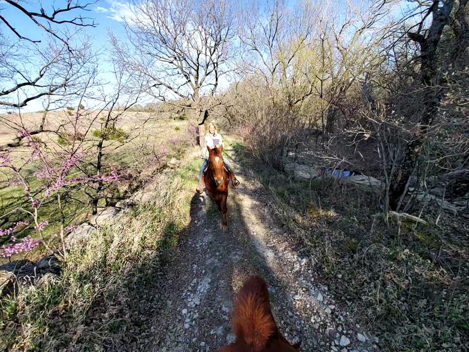 The Extra Mile Horseback Rides 5