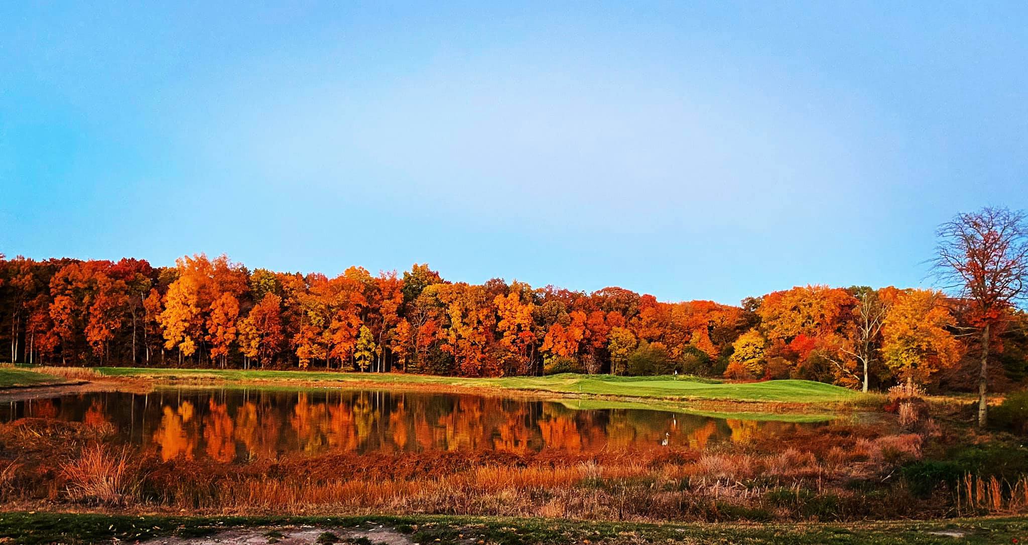 Frog Hollow Golf Club & Restaurant5