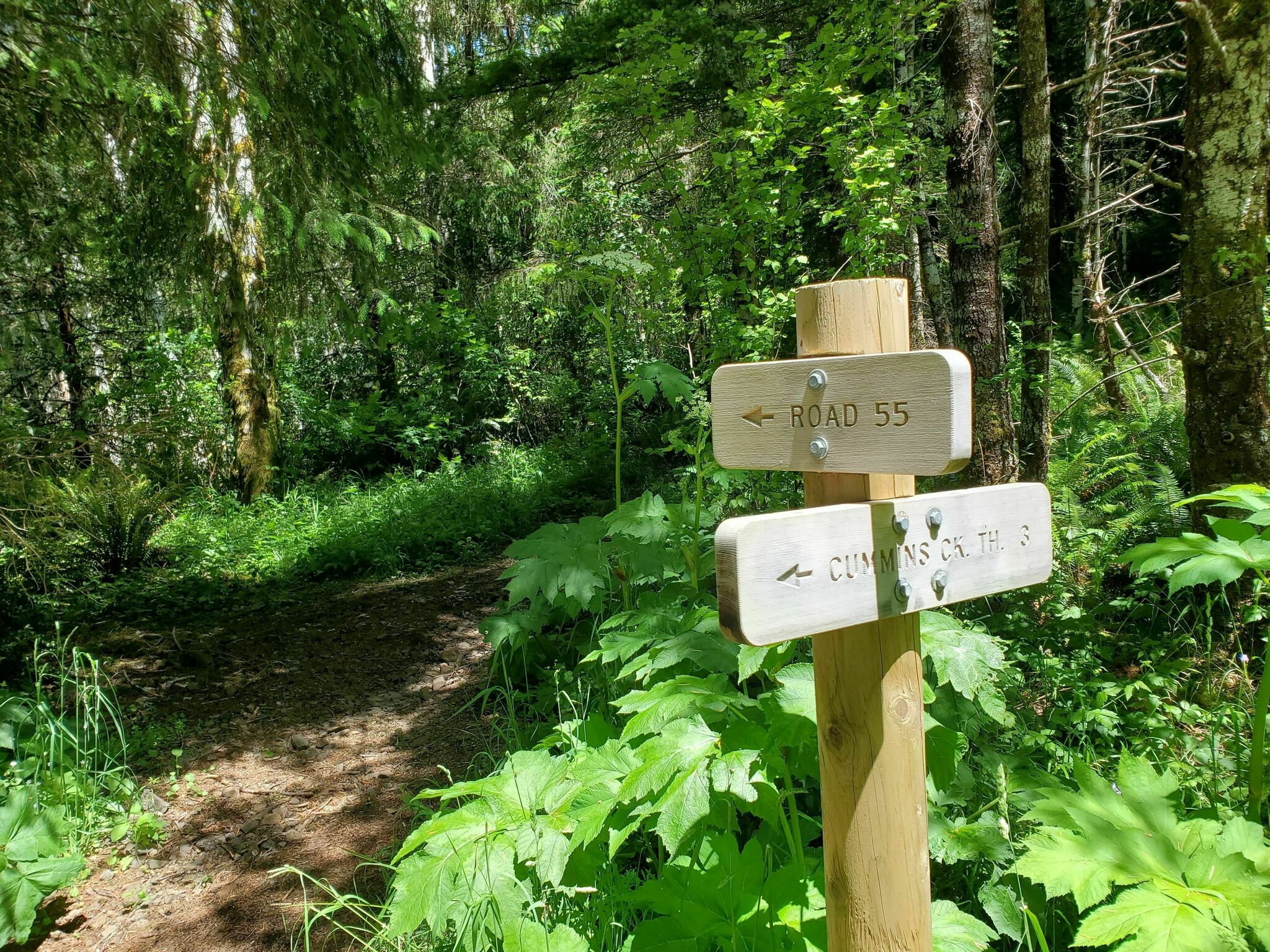 Cummins Creek Trail3