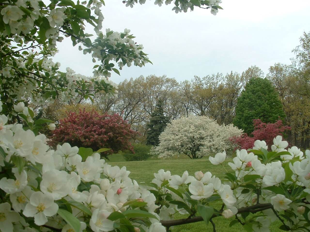 Woodland-Park-in-Bloom