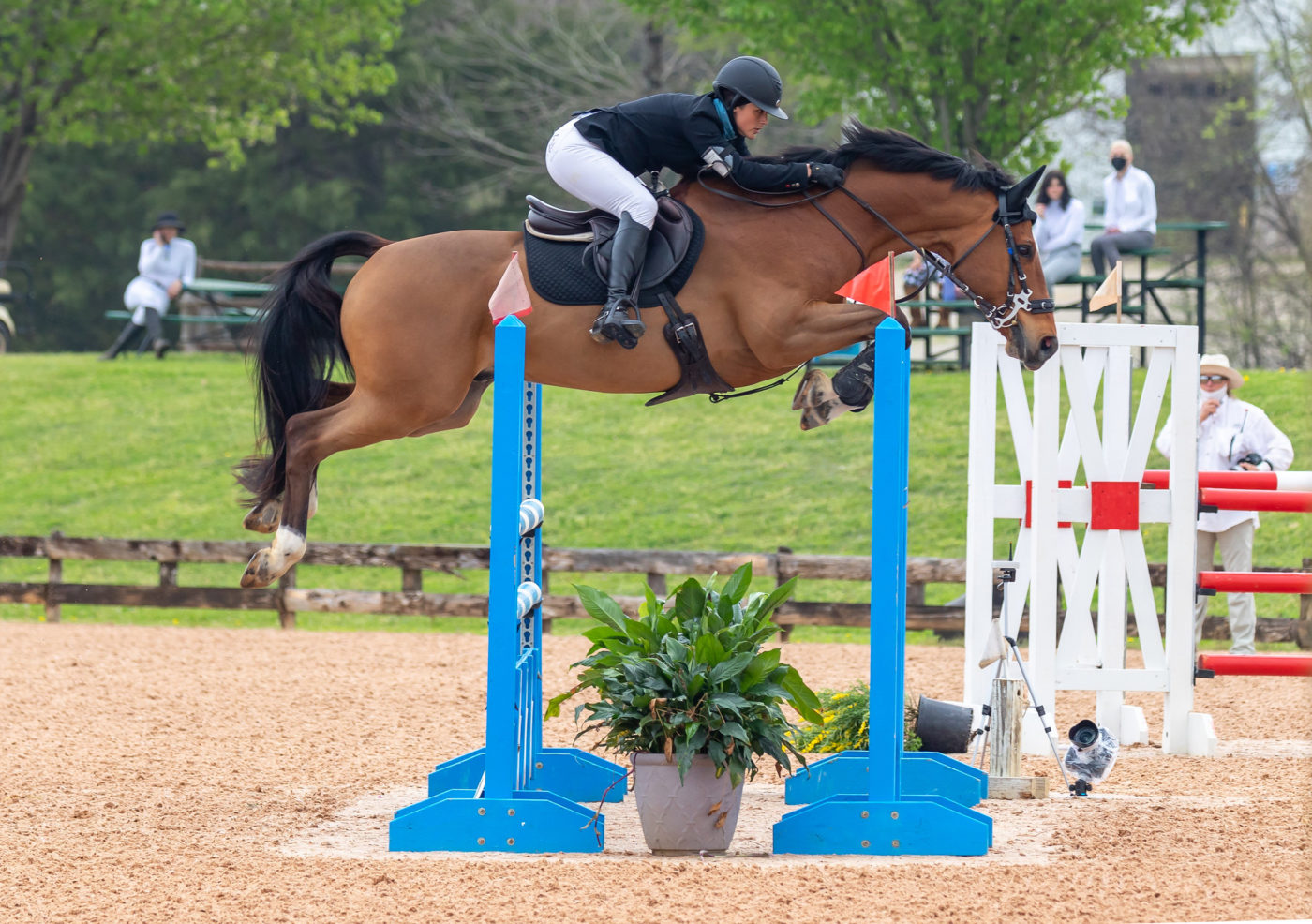 Texas Rose Horse Park 5