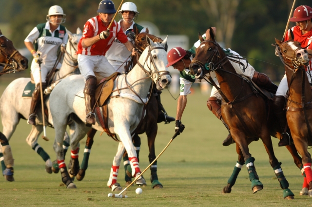 Aiken Polo Club8