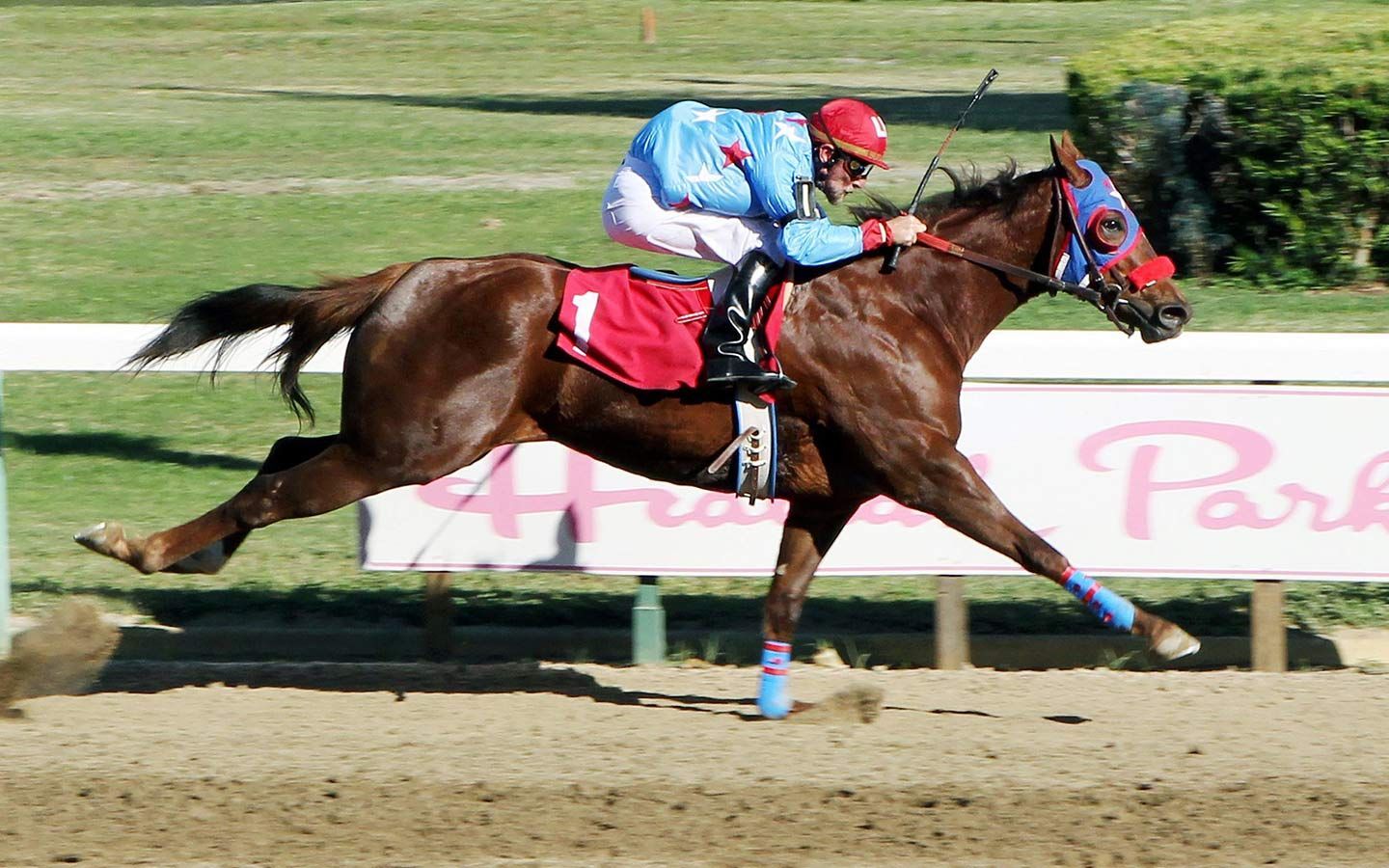 AnyConv.com__Hialeah Park Racing & Casino 1