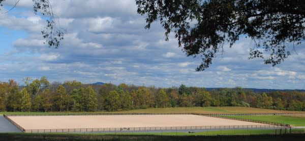 Morven-Park-Equestrian-Center-Image-1-414fd38b5056a36_414fd4b0-5056-a36a-07b2a373e393484f