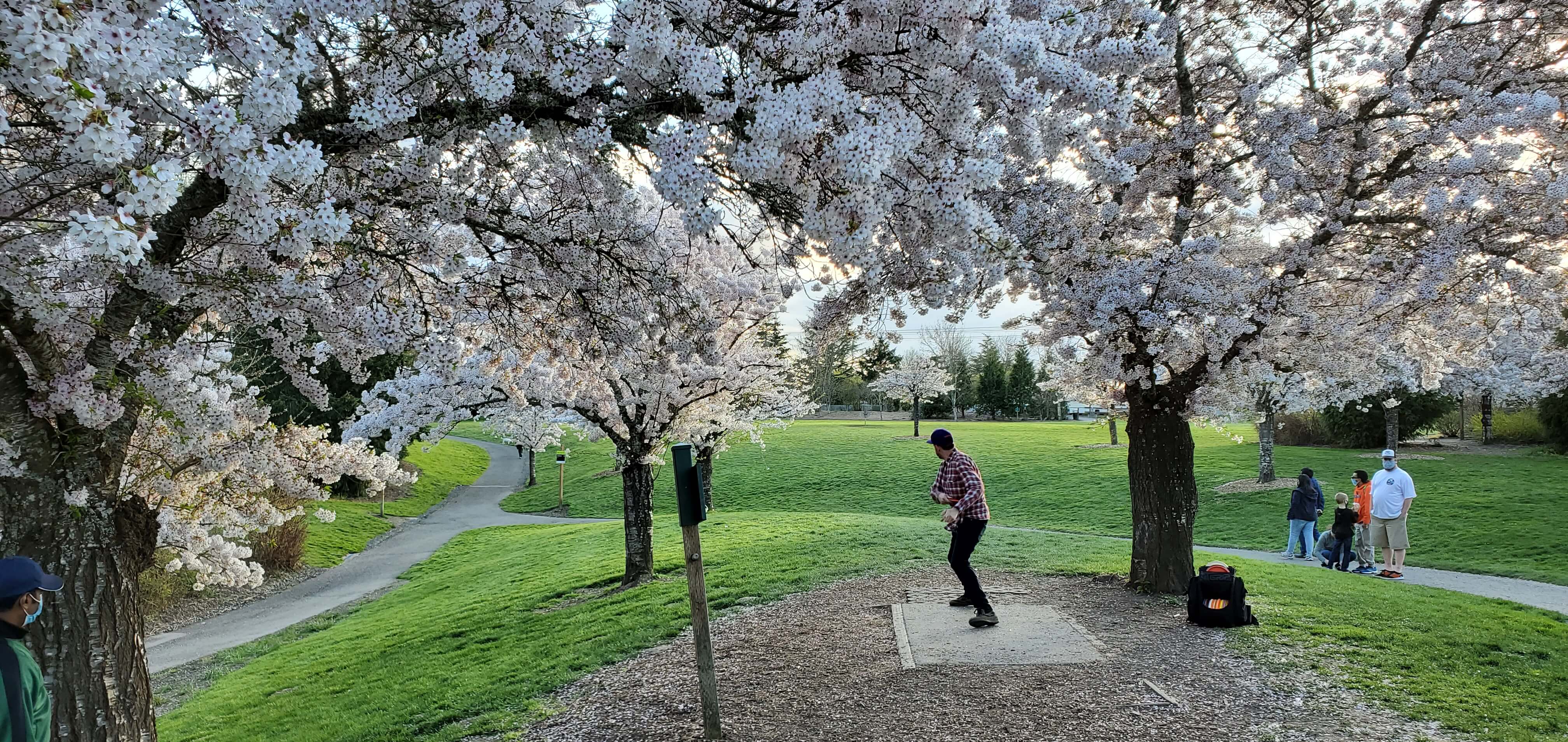 Orchard Park Disc Golf Course