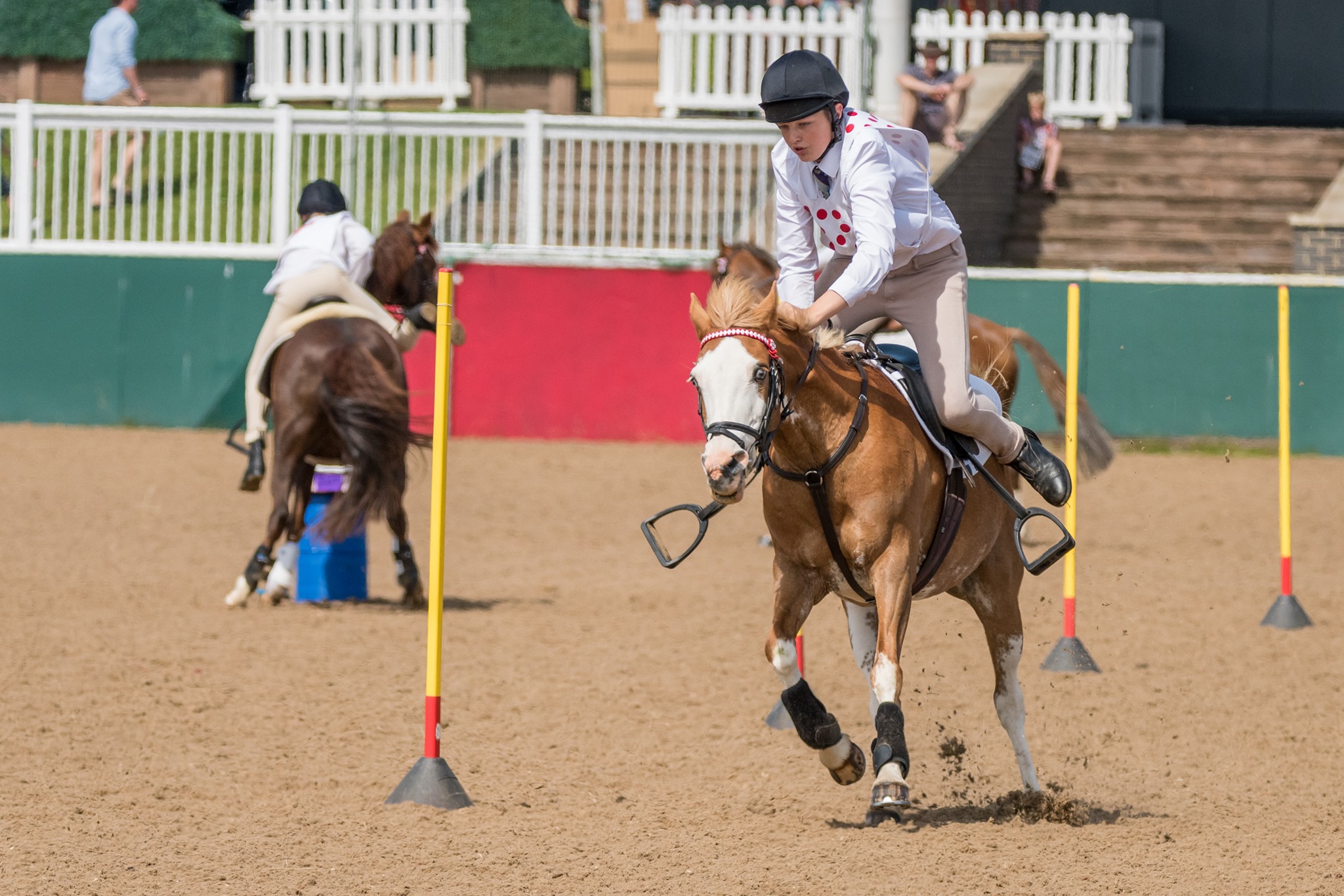 Dallas Polo Club 8