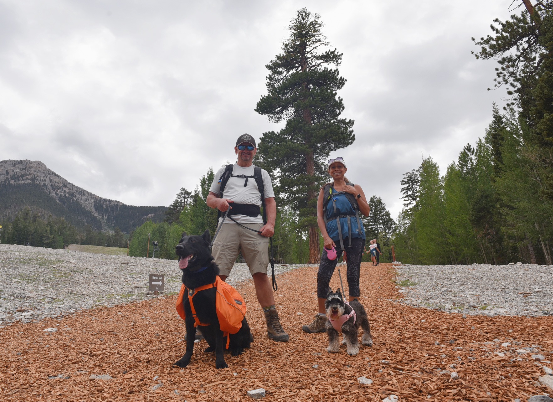 Lee Canyon14