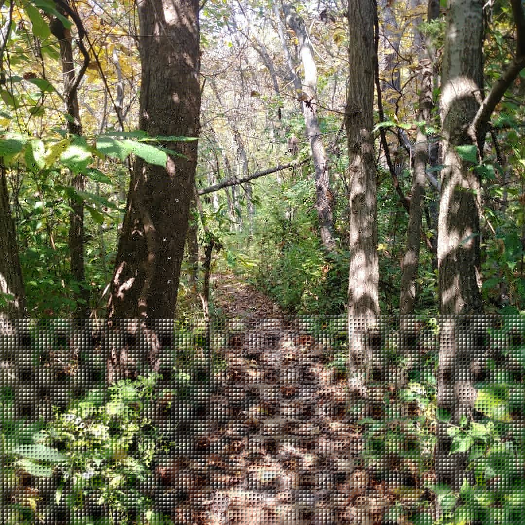Little Blue Trace Park 6