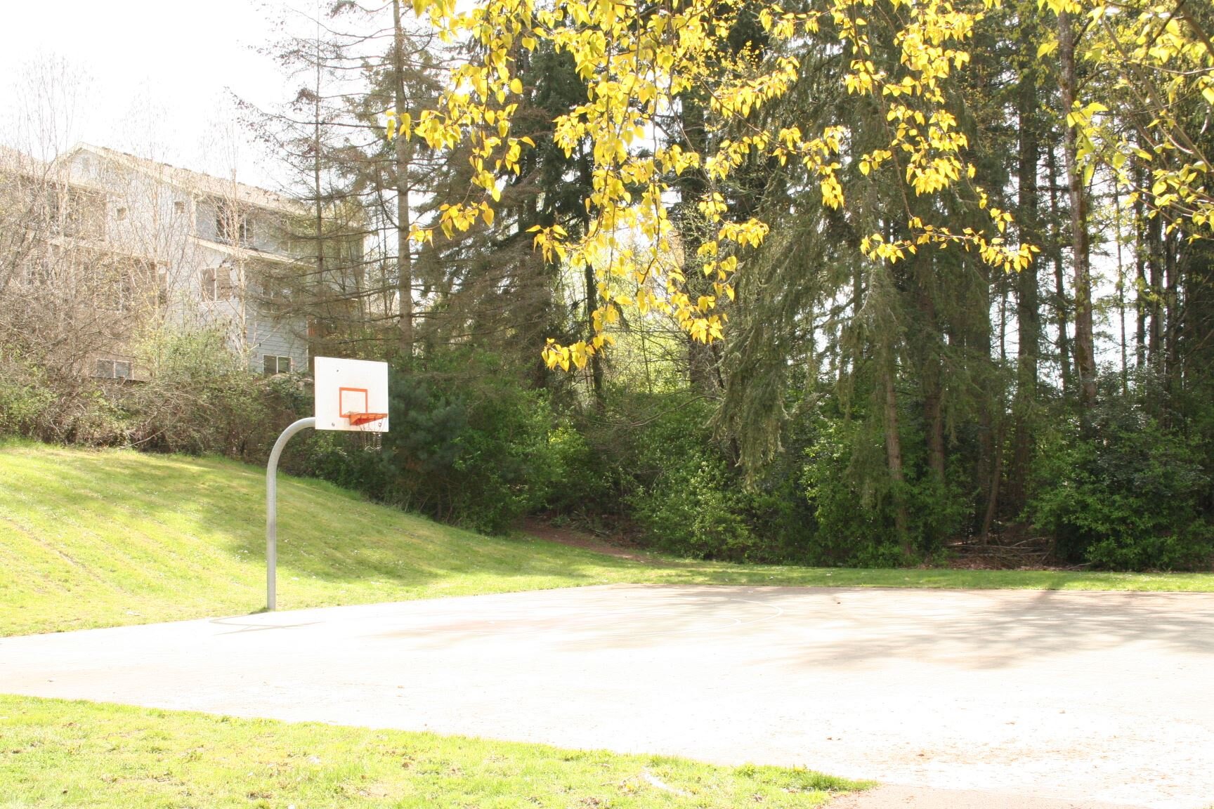 Logan Park7