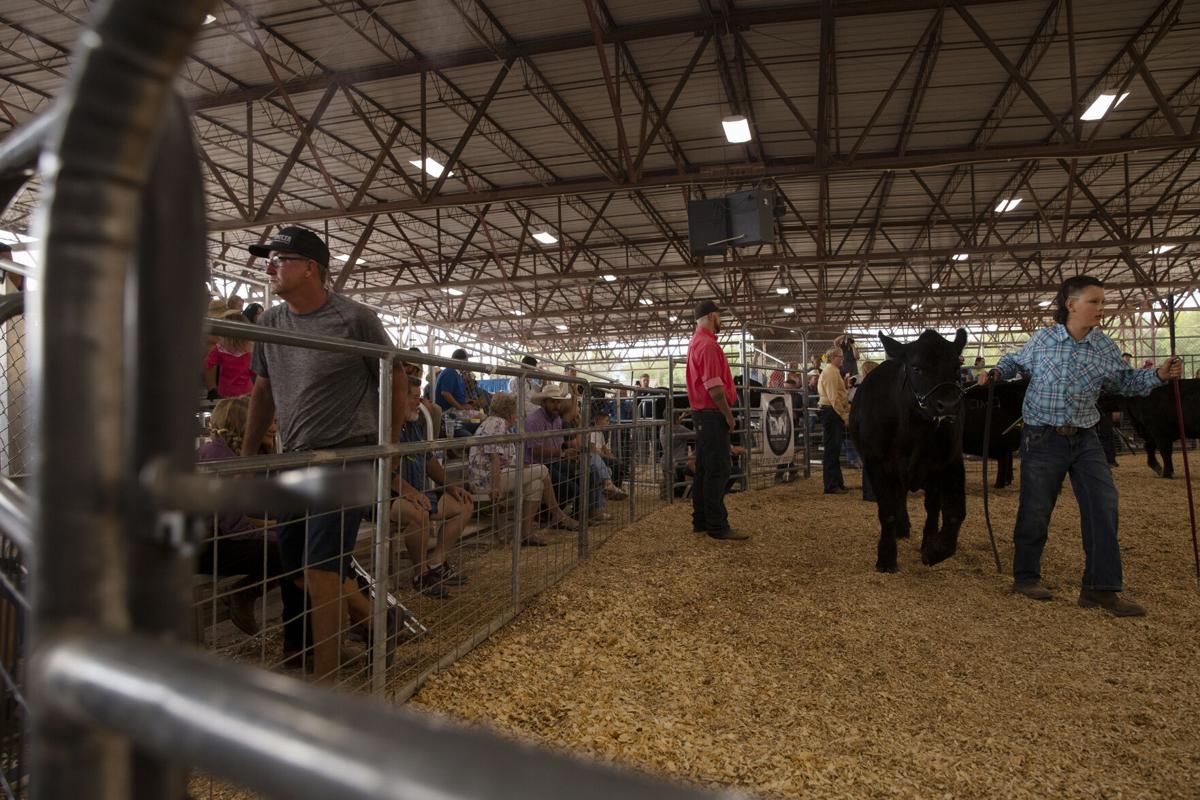 Mesa County Fairgrounds5