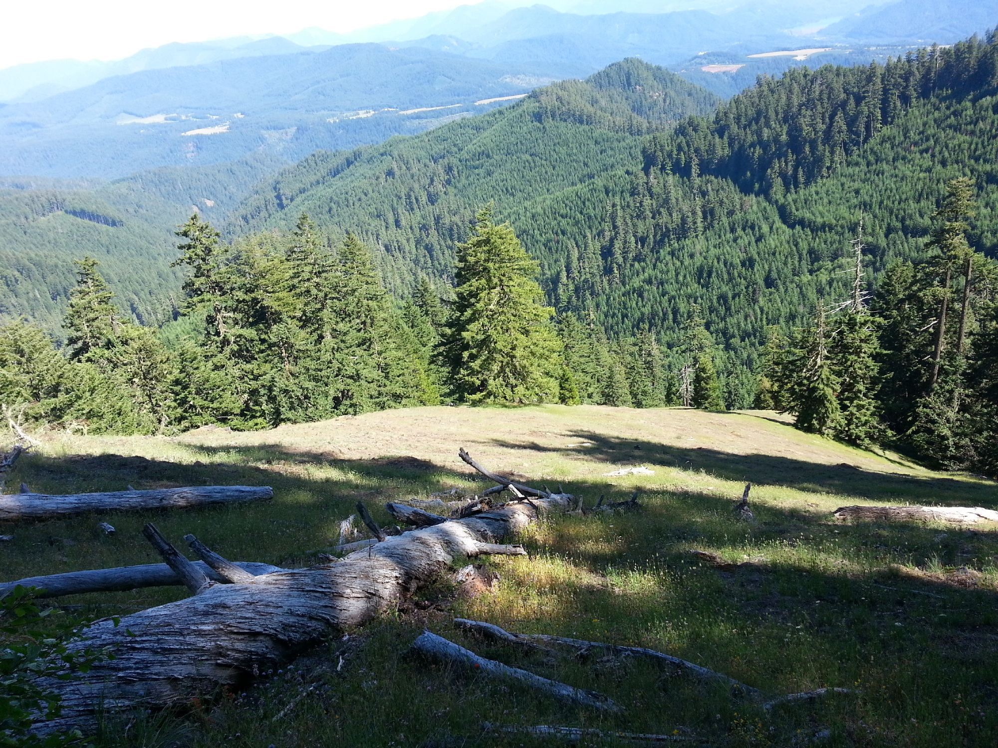 Alpine Trail2