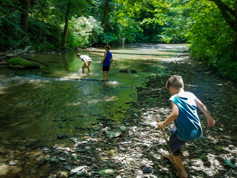 Foxfire Mountain Adventure Park