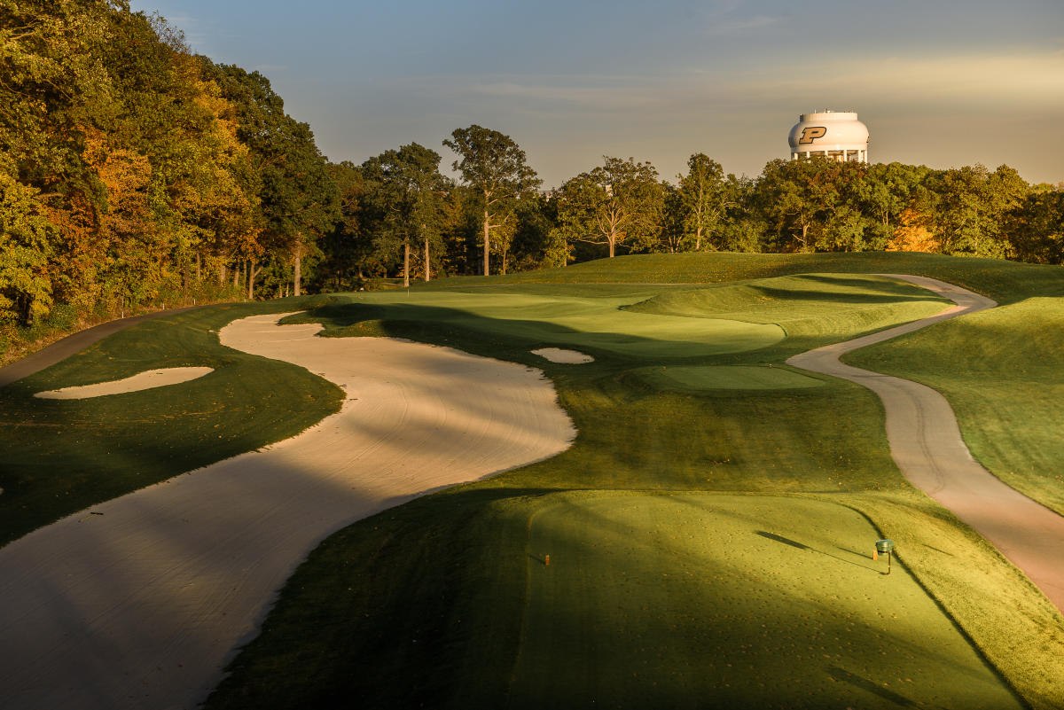 pete dye 5