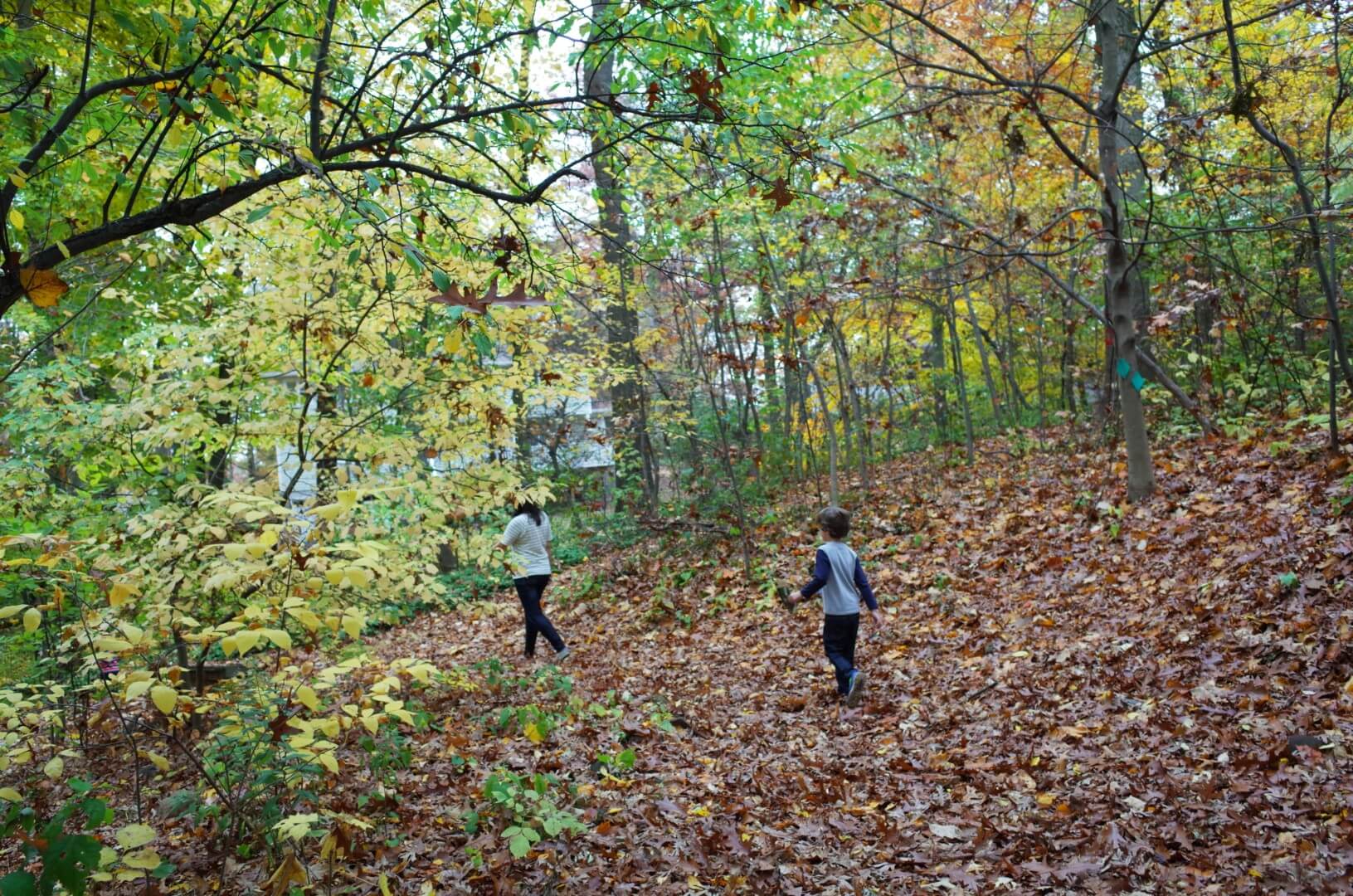 watchung reservation nj