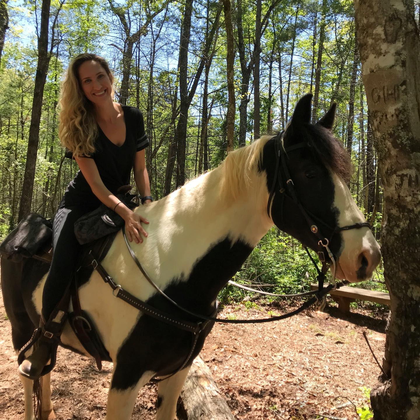 Chattooga Trails Bed & Barn4