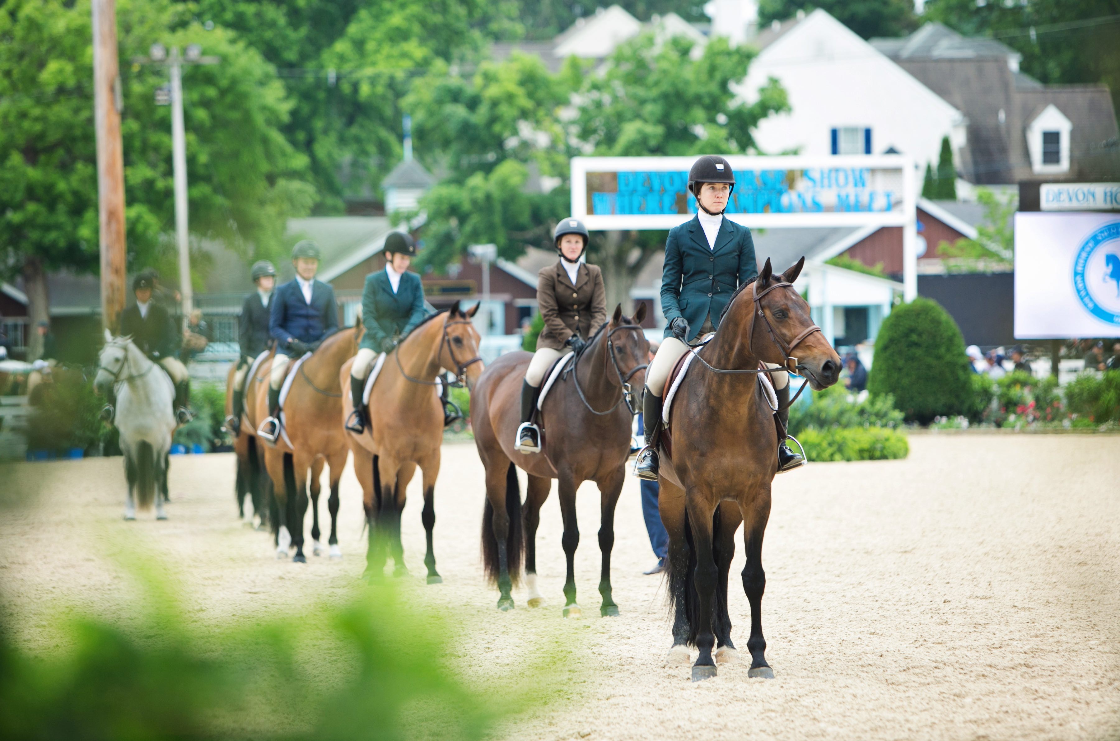 Devon Horse Show and Country Fair 3