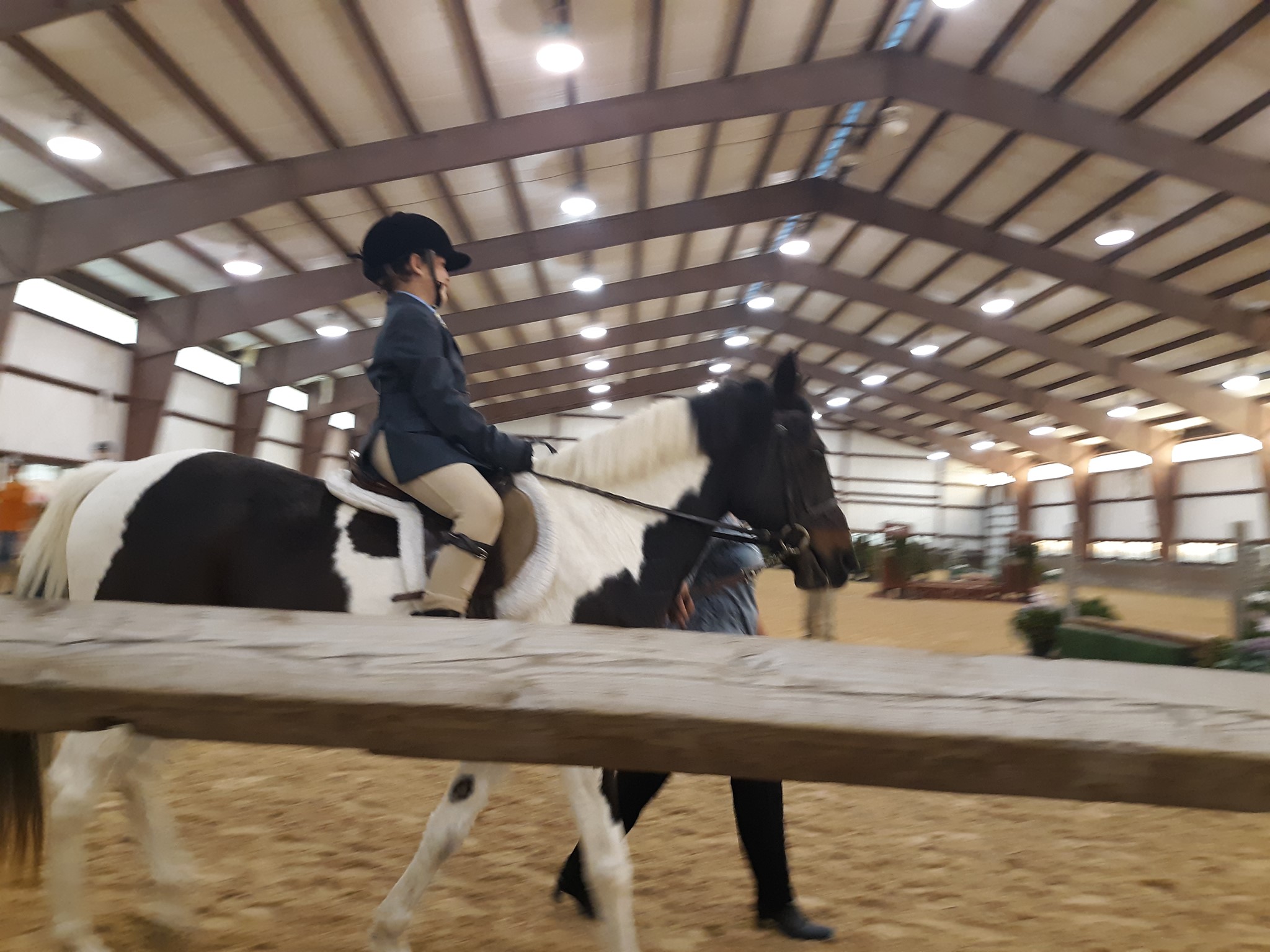 Virtue Stables5