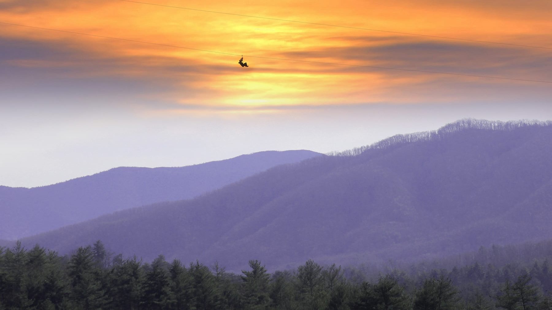 Foxfire Mountain Adventure Park7