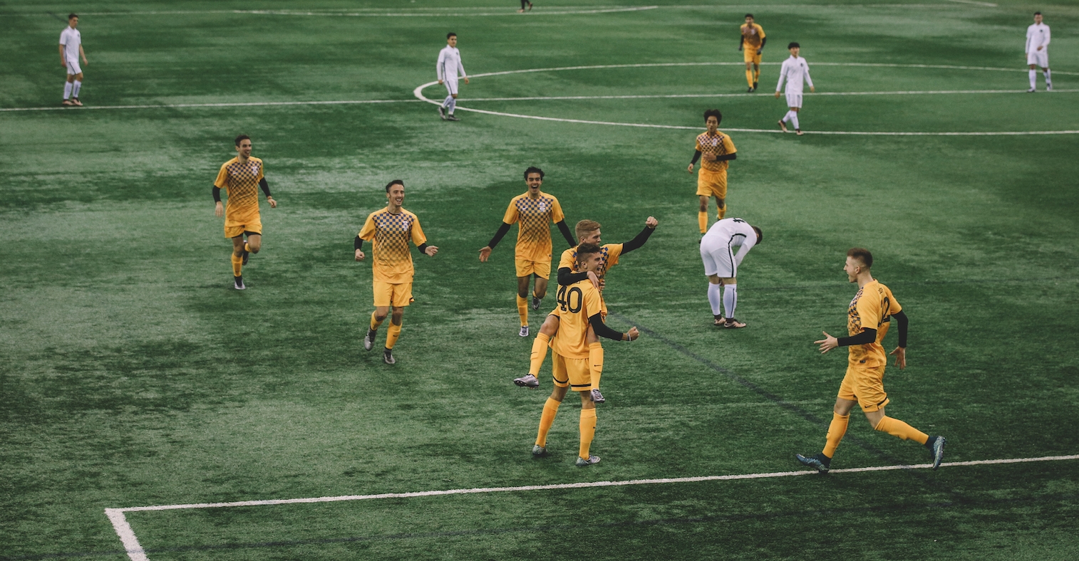 Soccer city sports field
