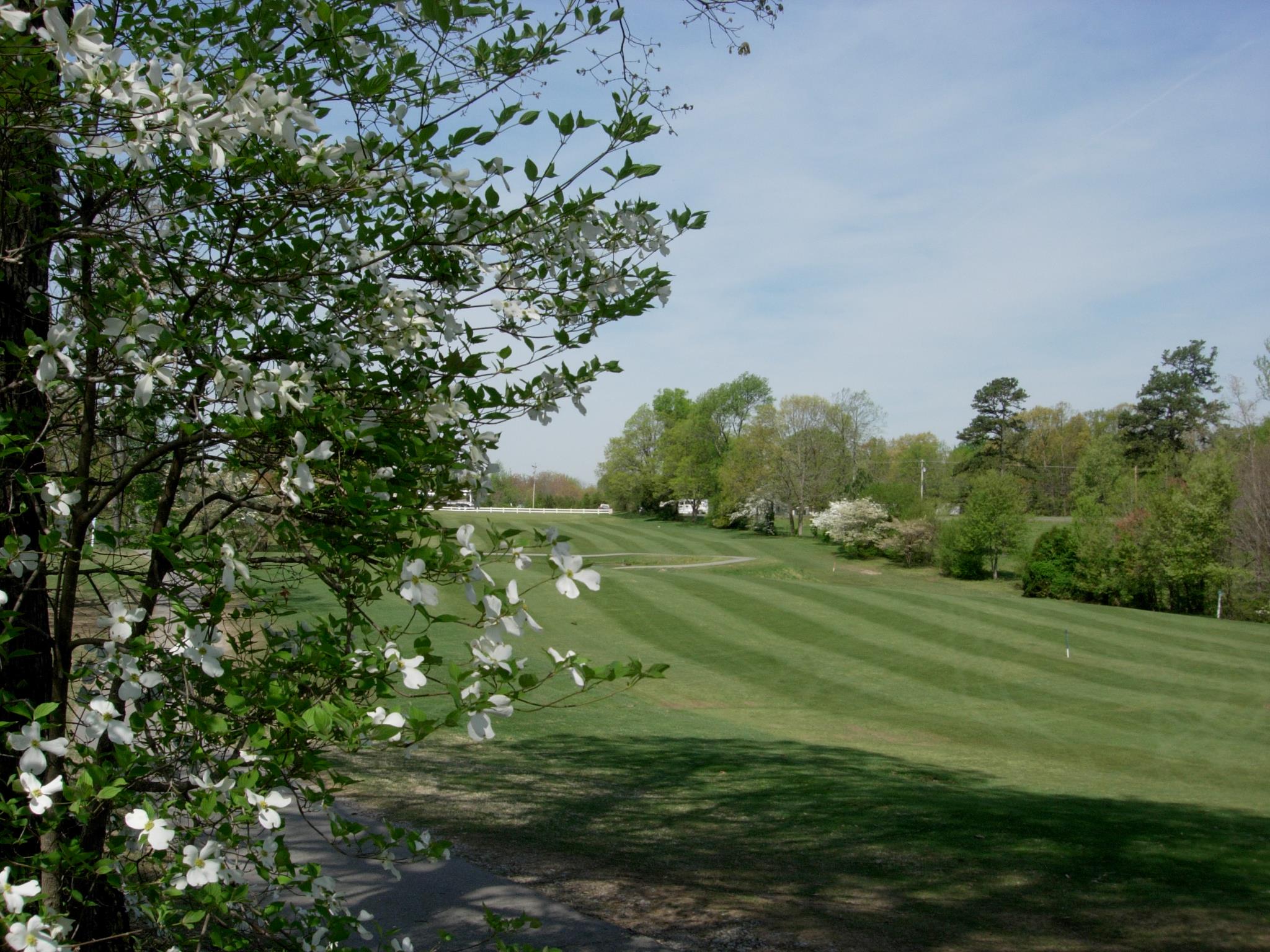 Dogwood Hills Golf Club & Gardens5