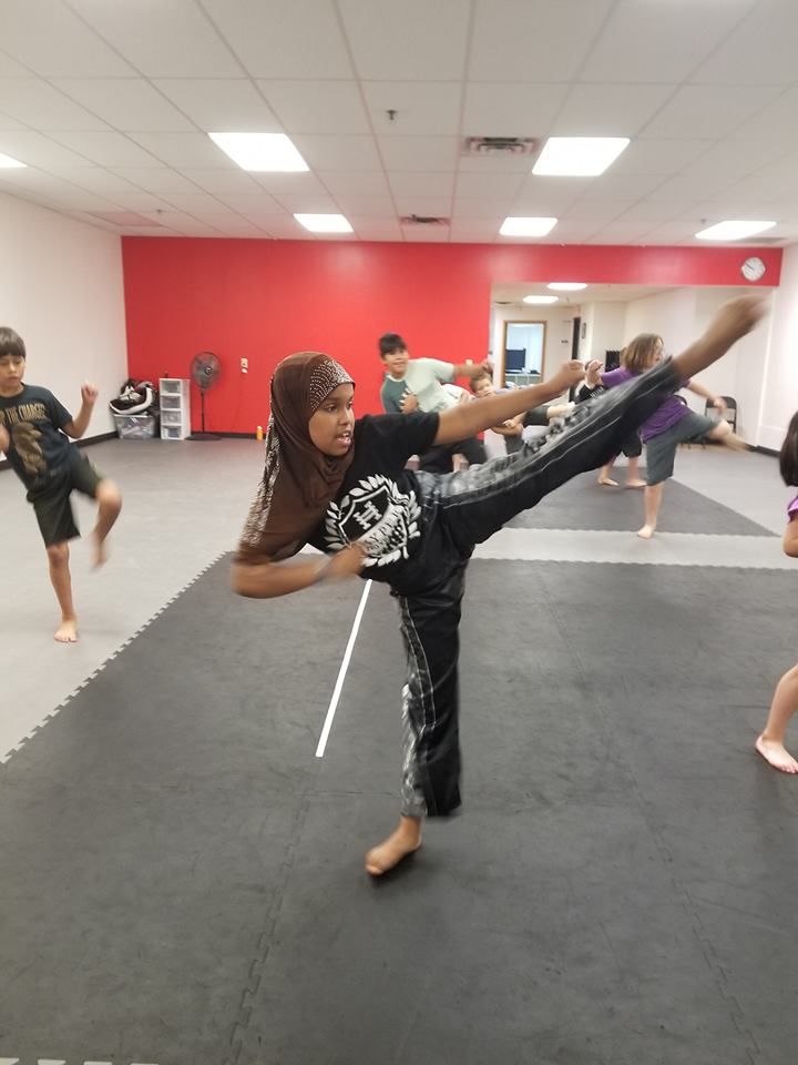 hive martial arts 2