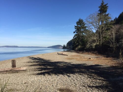 Sequalitchew Creek Trail3