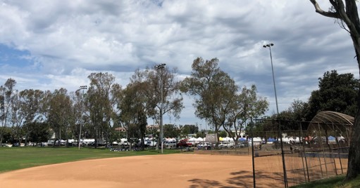 wilson park 4