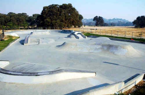 Johnson 5