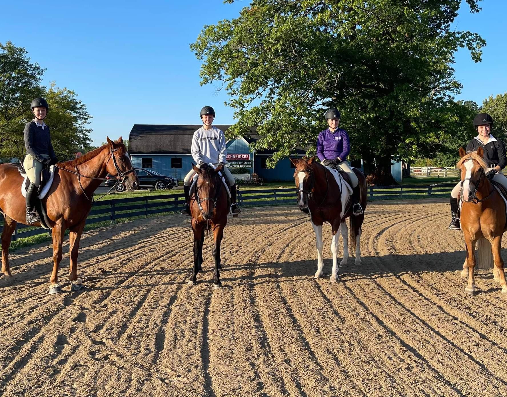 Equine Differences 9
