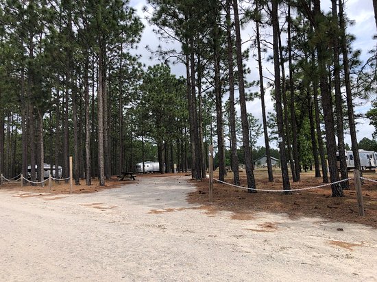 H. Cooper Black Jr. Memorial Field Trial and Recreation Area10