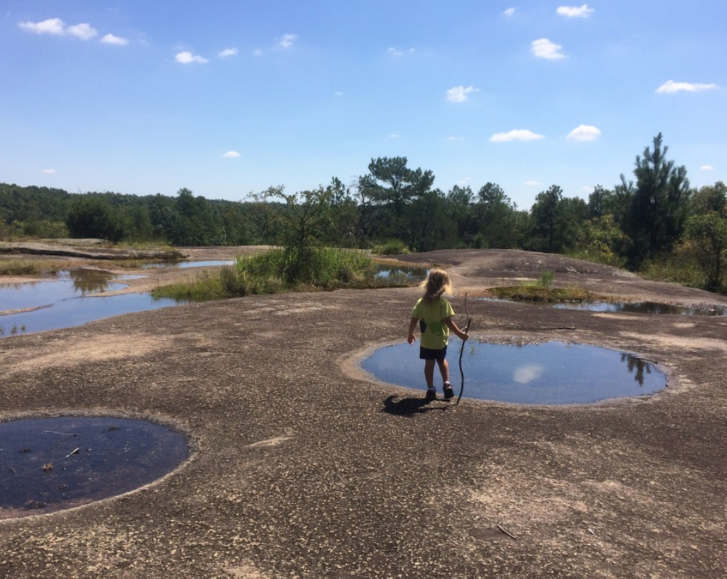 Forty Acre Rock Heritage Preserve 5