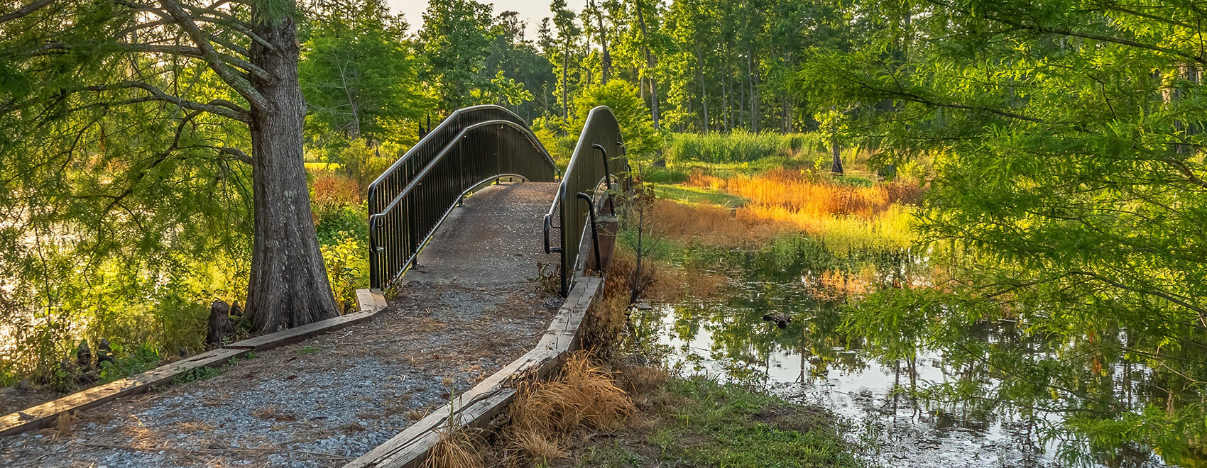 Sam_Houston_Jones_State_Park_Lagoon_Bridge_1700x1130-1700x660.jpg