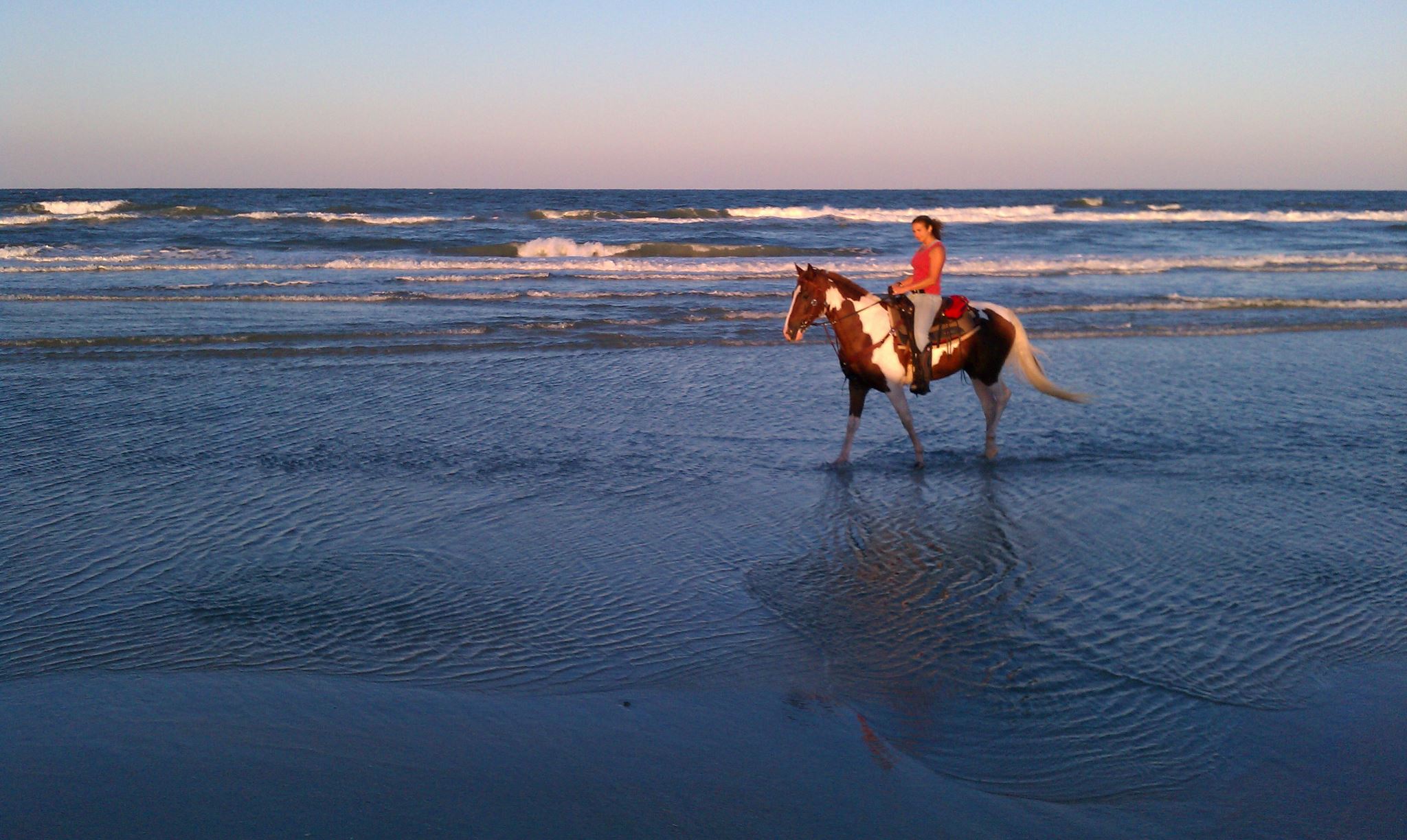 Equestrian Adventures of Florida6