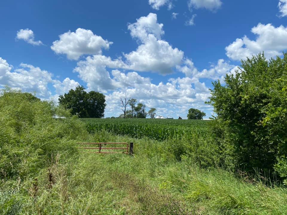 Cedar Valley Nature Trail6