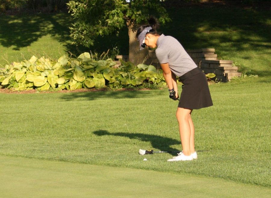 Phillips Park Golf Course 6