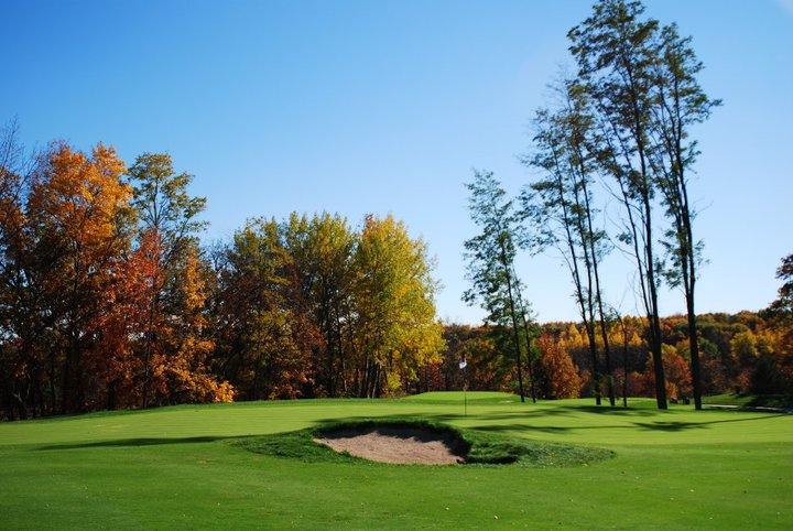 Wild Rock Golf 4